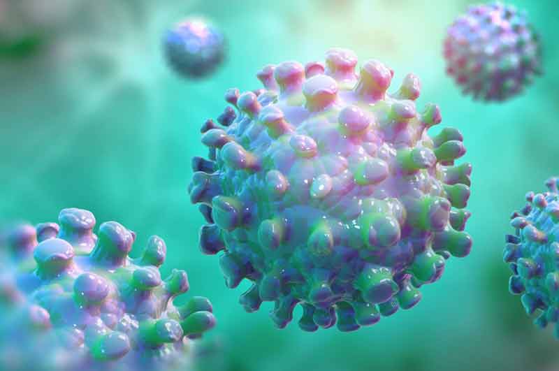 عفونت ویروسی نیپا چیست و چه شباهتی به کرونا دارد؟