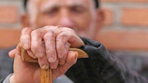 سالمندان کدام خدمات را از کمیته امداد دریافت میکنند