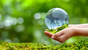 تغییرات اقلیمی سبب بحران در شرایط محیط زیستی می‌شود