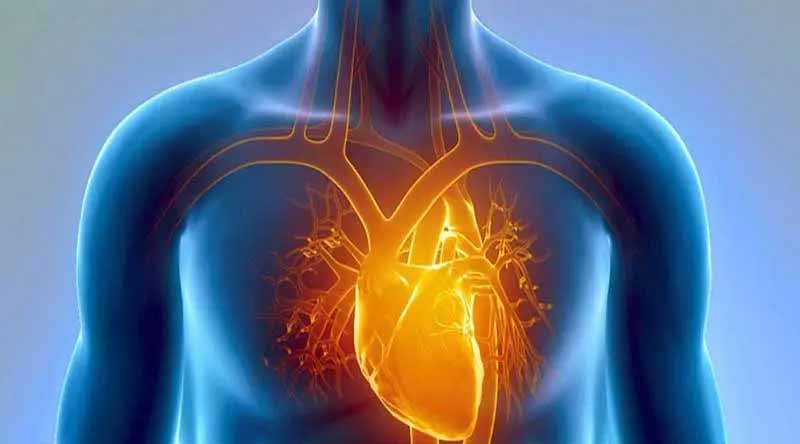 «بیماری‌های قلبی» مهم‌ترین علت مرگ و میر است