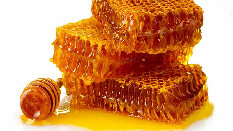 آیا مصرف موم همراه عسل مفید است و خواص درمانی دارد؟