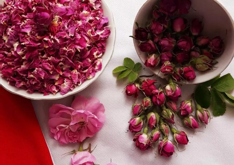 تاثیرات شگفت‌انگیز گل سرخ بر سلامتی و زیبایی