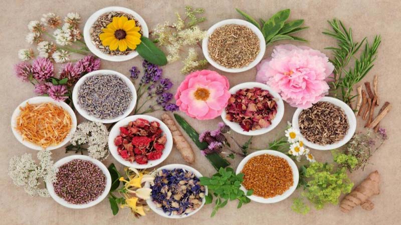 توصیه‌های تغذیه‌ای طب ایرانی برای فصل بهار
