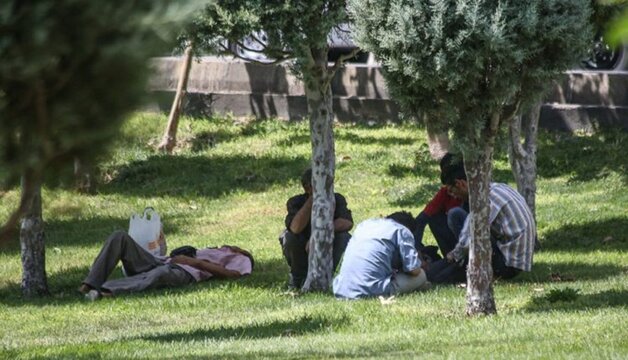 اجرای طرح ساماندهی کلونی‌های آسیب در بوستان‌های پایتخت