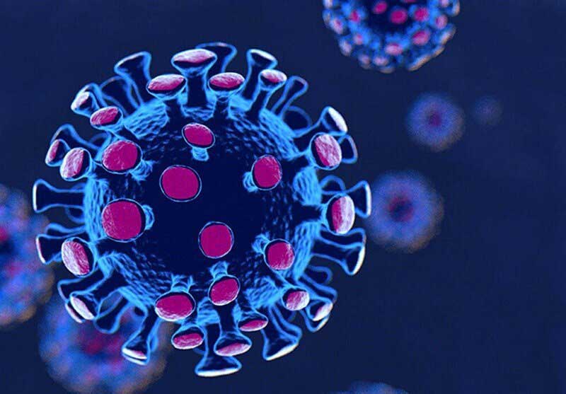 درباره ویروس «نیپا» چه می‌دانیم؟