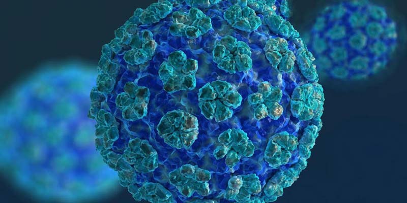 کدام نوع ویروس HPV باعث زگیل تناسلی می‌شود؟