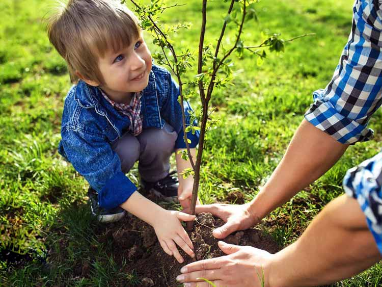 کودکان چگونه و چه زمان باید سواد و مهارت زیست‌محیطی کسب کنند؟