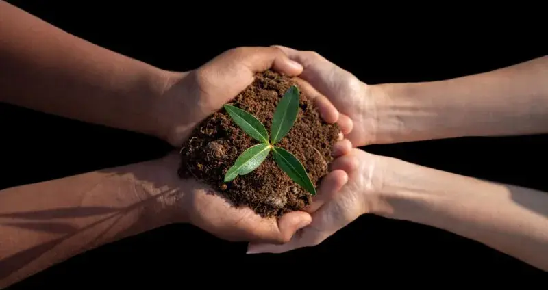 اهمیت مسئولیت پذیری و 4 راهکار ساده برای تقویت مسئولیت پذیری