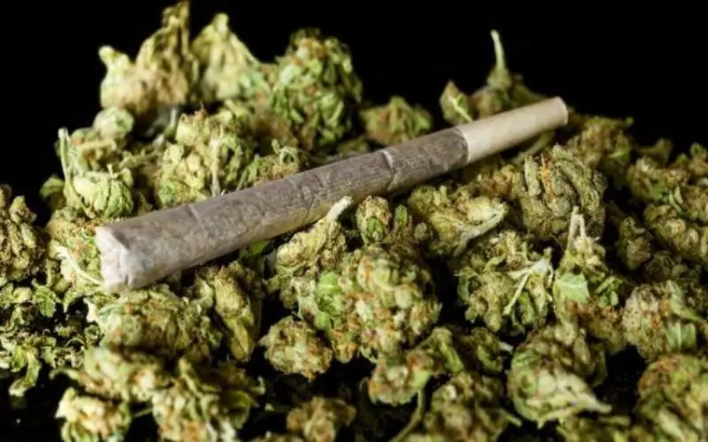 توهم‌زایی گل در ایران ۱۰برابر اروپاست/ کشف ۴۵۰کیلو شیشه