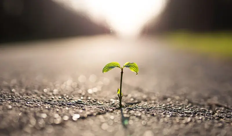 هنر ایستادن پس از هر سقوط؛ چگونه تاب‌آوری را تقویت کنیم؟